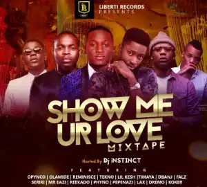 DJ Instinct - Show Me Your Love Mix